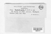 Image Associated With the Occurence